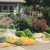 Stormwater convenience garden where once there was only lawn.